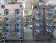 PET Perform mould11