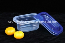 Thin-wall mould10