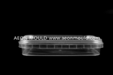 Thin-wall mould24