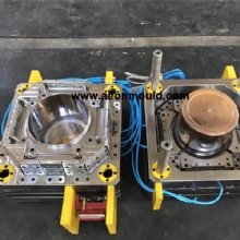 15L 20L paint bucket mould